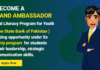 Virtual Internship Program