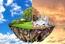 Environmental Pollution