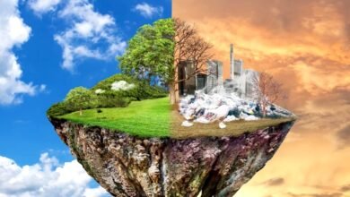 Environmental Pollution