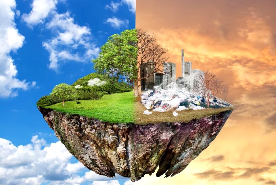 Environmental Pollution